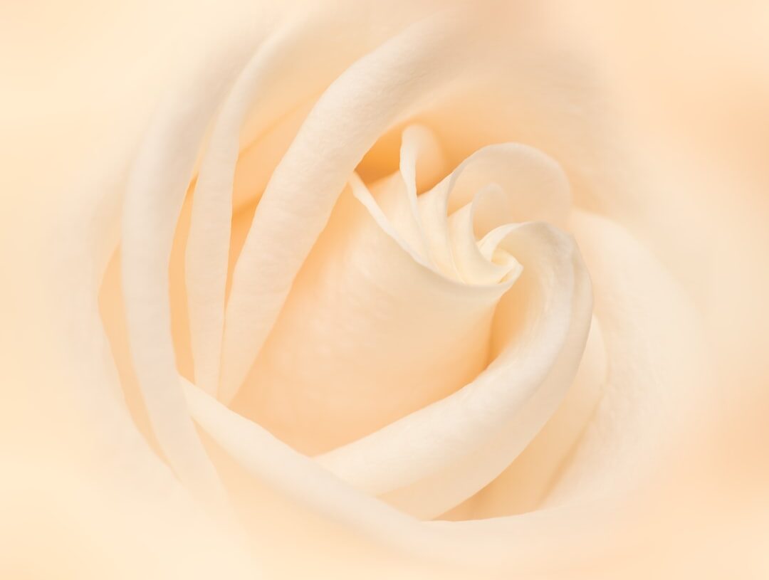 Stylowe połączenia z beżowym żakiem