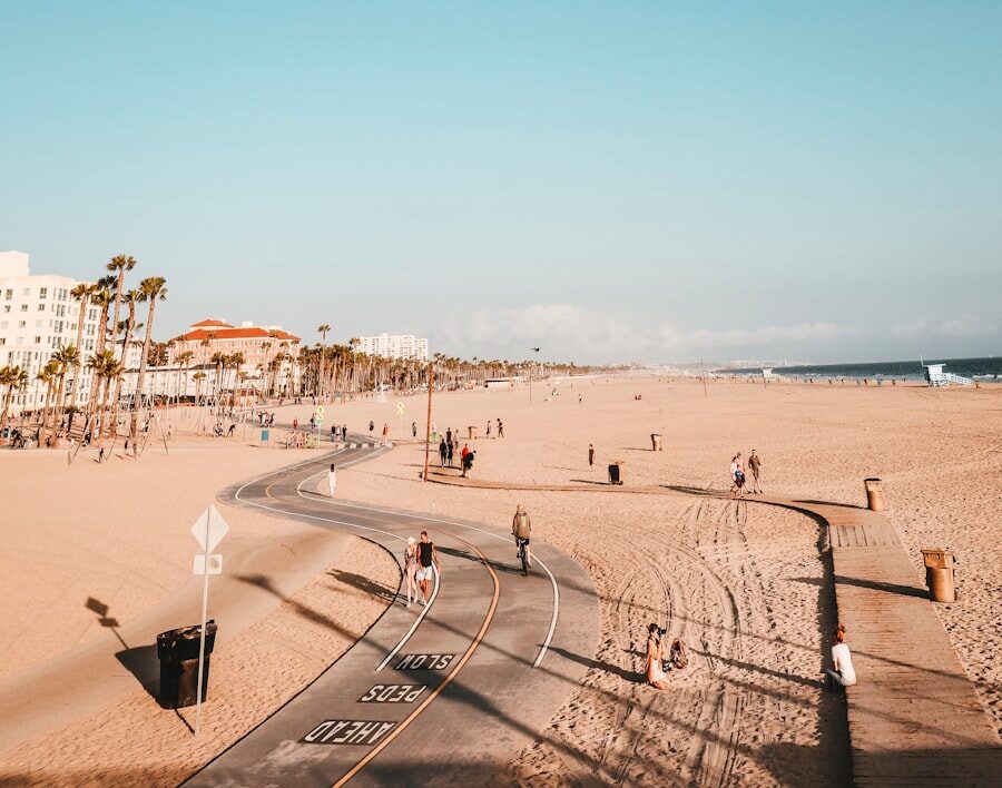 Czy zamiokulkas oczyszcza powietrze?